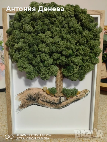 Пана със скандинавски мъх , снимка 4 - Пана - 53504291