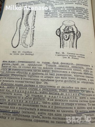 Паразитология -Р.Попиванов, снимка 7 - Специализирана литература - 45333788