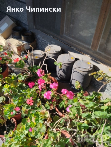 Наличен камион за части Ман Евро5 eev 440, снимка 2 - Камиони - 51458797