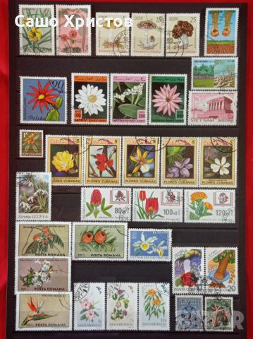 Пощенски марки тема ”Растения”., снимка 5 - Филателия - 45653043