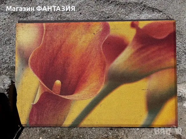 Картини от Италия в различни размери , снимка 5 - Картини - 50332692