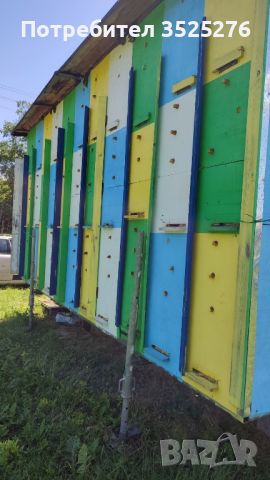 Павилион за пчелни семейства , снимка 1 - За пчели - 45775910