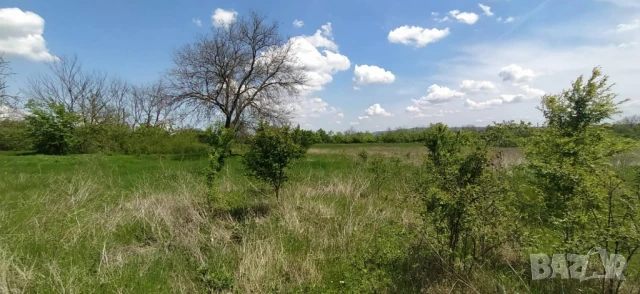 Продава стара къща с дворно място, снимка 2 - Къщи - 51161329