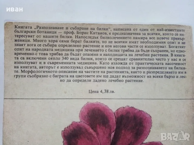 Разпознаване и събиране на билки - Борис Китанов - 1987г., снимка 8 - Енциклопедии, справочници - 48175404