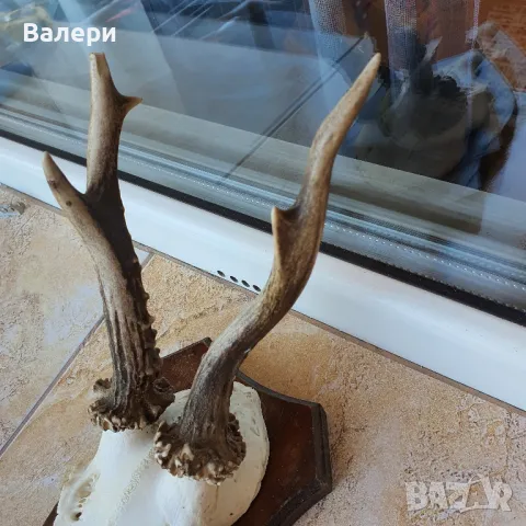 Сръндак Документиран, снимка 6 - Колекции - 50072932