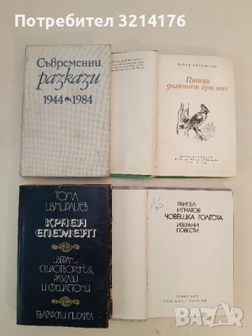 Краен елемент - Тома Измирлиев