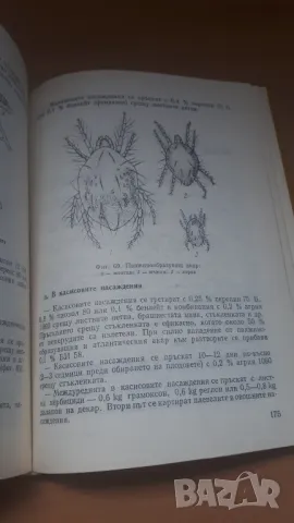 Календар на овощаря - 2-ро издание, снимка 10 - Специализирана литература - 47018869