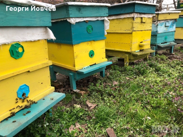 Използвани пчелни кошери я
