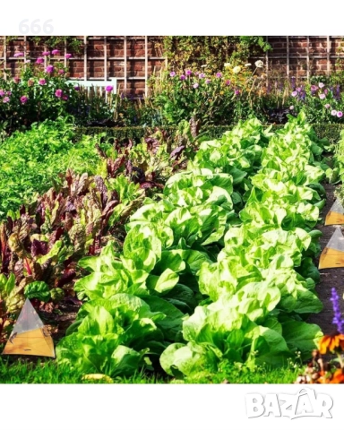 40 броя Капани за охлюви , снимка 4 - Други - 52985144