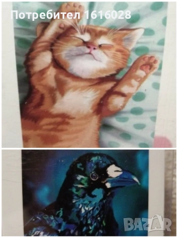 5D Диамантени гоблени - Врана в нощта и Котка.