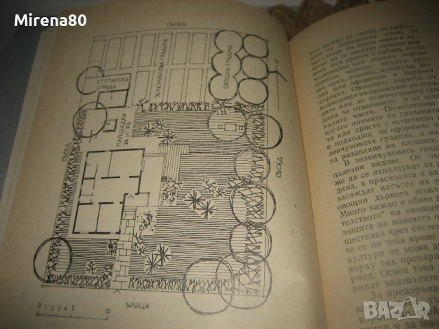 Голямата радост от малката градина - 1982 г., снимка 5 - Българска литература - 53575021