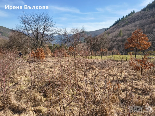 ПРОДАВА СЕ: Панорамен парцел в регулация – в.з. "Герова леска", с. Свидня, снимка 7 - Парцели - 53683788