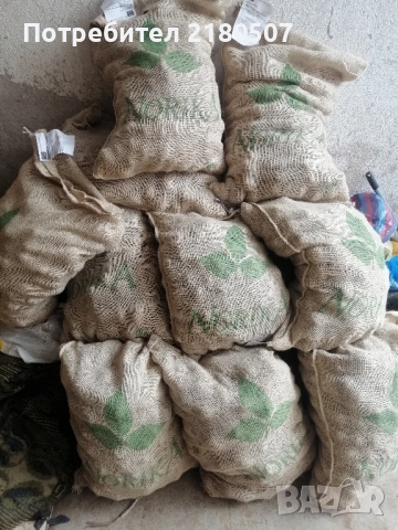 Картофи семе, снимка 6 - Разсади - 38859078