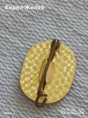 Лот значки 6 броя стари редки ROBSON CLUB за КОЛЕКЦИЯ ДЕКОРАЦИЯ 28453, снимка 9 - Колекции - 50862728