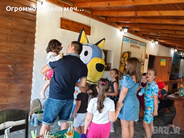 Изненада за рожден ден / Кученцето Блуи, снимка 7 - Детегледачки, детски центрове - 48203971