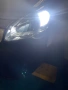 Изключително Мощни CANBus LED Крушки T10 за Габарити на Фарове, снимка 4