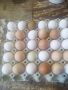 яйца от домашно гледани кокошки , снимка 1 - Домашни продукти - 45823766