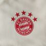 Bayern Munich 22/23 Training Top, M, снимка 3