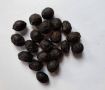 семена от дафинов храст, снимка 1 - Сортови семена и луковици - 45560761