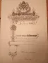 ОРИГИНАЛ от Царско време Стара Фердинандова грамота указ Фердинанд , снимка 3