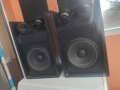 Bose 301 monitor 2, снимка 5