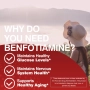 БЕНФОТИАМИН Benfotiamine капсули , снимка 2