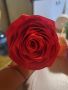 Вечни букети от сатенени рози, снимка 12