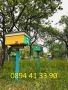 Пчелни майки - Карпатска и Карника - ОПЛОДЕНИ - със Записване, снимка 4