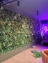 Изкуствени зелени стени , снимка 4