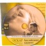 Английски пациент DVD с Ралф Файнс, снимка 3