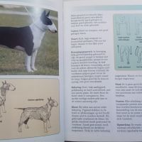 Bethany Gibson: Bull terrier, снимка 3 - Други - 45357504