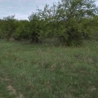 Продавам земя в местноста Беликов дол гр.Троян, снимка 3 - Земеделска земя - 45337248