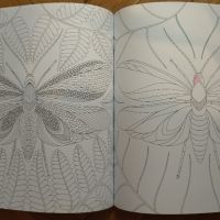 Книга за Оцветяване за възрастни Millie Marotta's Tropical Wonderland, снимка 8 - Други - 45523733