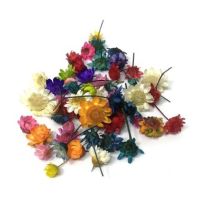 4 вида ситни сухи цветя маргаритки цветчета в кутия за декорация украса, снимка 9 - Изкуствени цветя - 41723170