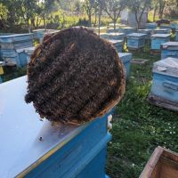 Продавам пчелни семейства в тръвни , снимка 2 - За пчели - 44633650