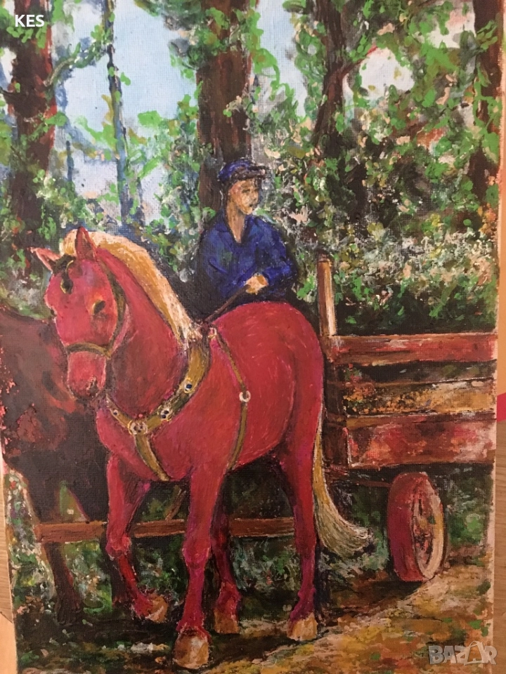 Червените кончета, снимка 1