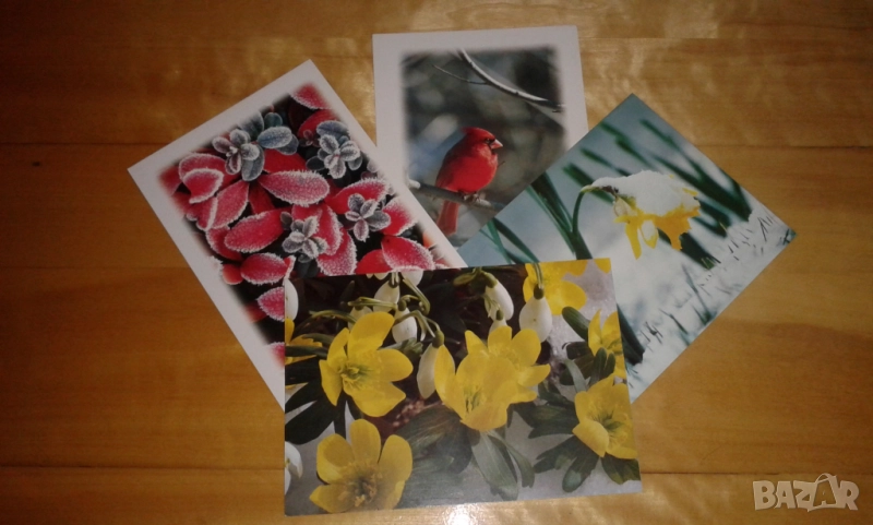 4 прекрасни двойни картички на тема "Зимна природа"с подходящи послания, снимка 1