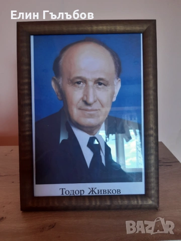 Портрет на Тодор Живков, 25/35 см. в дървена рамка