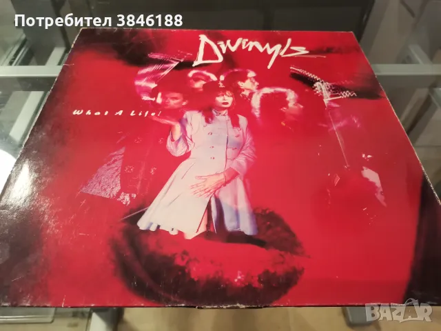 Divinyls - What A Life Vinyl, снимка 1 - Грамофонни плочи - 47307820