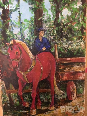 Червените кончета