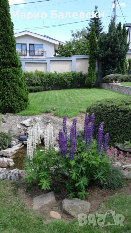 Озеленяване и поддръжка на градини , снимка 12 - Други - 53493481