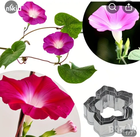 Петуния фунийки 3 бр метални резци резец форма форми за цвете украса декорация торта шоколад фон