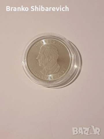 Красив сребърен бухал от Канада с холограмен ефект, 100 бр. за цял свят., снимка 2 - Нумизматика и бонистика - 53195705