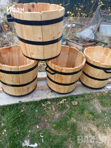 саксии за лимони, снимка 4 - Градински цветя и растения - 52823626