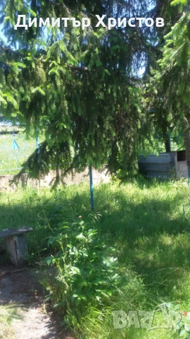 Продавам вила в село Пънчево, снимка 2 - Вили - 53125207