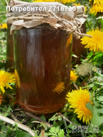 Домашен мед от глухарчета - ценен източник на здраве, снимка 5 - Домашни продукти - 51643611