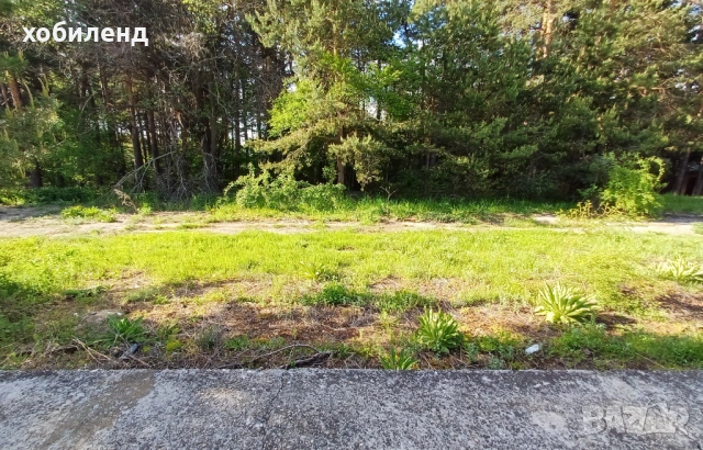 В продажба атрактивен парцел на хижа Здравец, снимка 4 - Парцели - 54061924