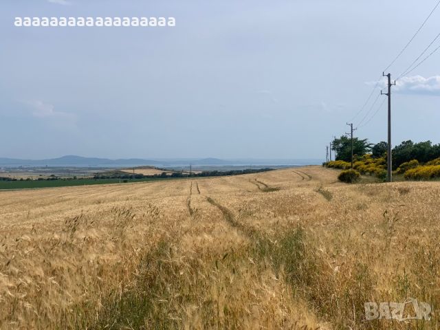 Продавам Панорамна земя до град Каблешково, снимка 8 - Земеделска земя - 44431160