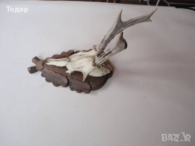 Ловен трофей рог рога дърворезба 13, снимка 4 - Ножове - 54087340