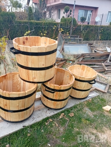 саксии за лимони, снимка 3 - Градински цветя и растения - 52823626